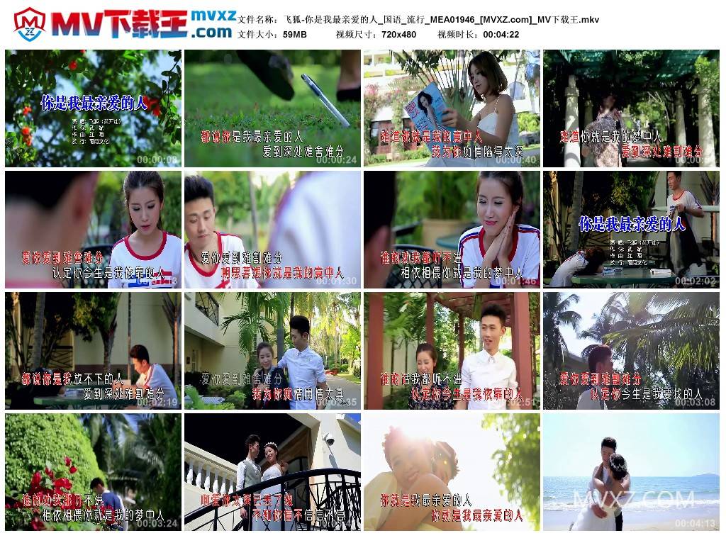 飞狐-你是我最亲爱的人_国语_流行_MEA01946